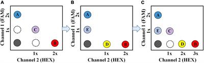 Development and evaluation of a multiplex droplet digital polymerase chain reaction method for simultaneous detection of five biothreat pathogens